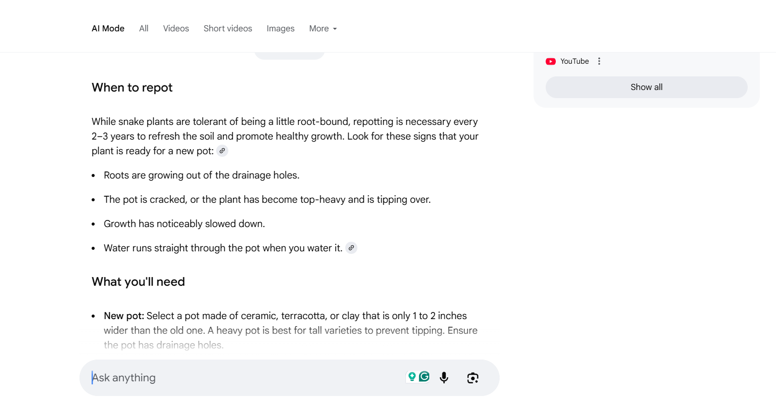 snapshot-showing-ai-modes-response-on-how-to-repot-snake-plants